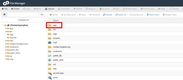 How to Deploy Angular App on cPanel: CSR & SSR Guide