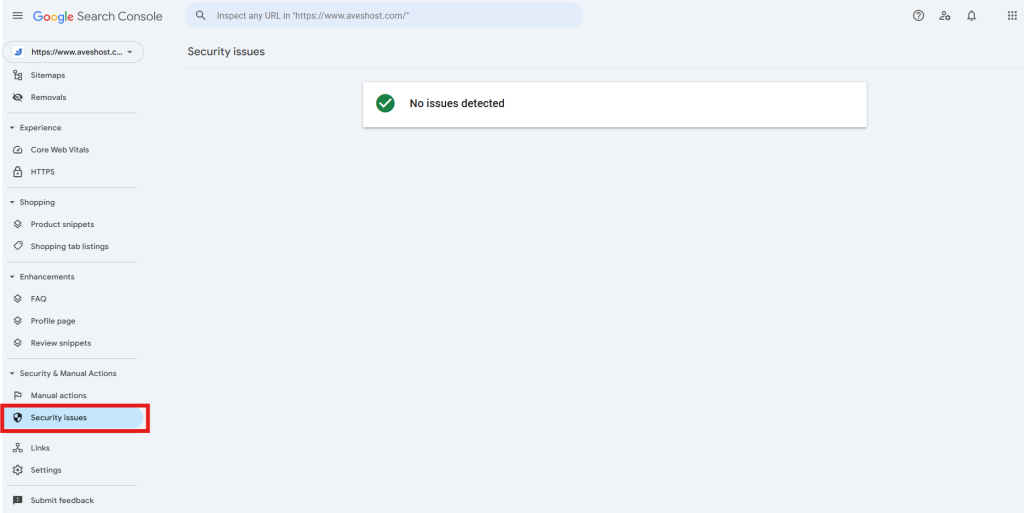 Google Search Console showing that no security issues were detected
