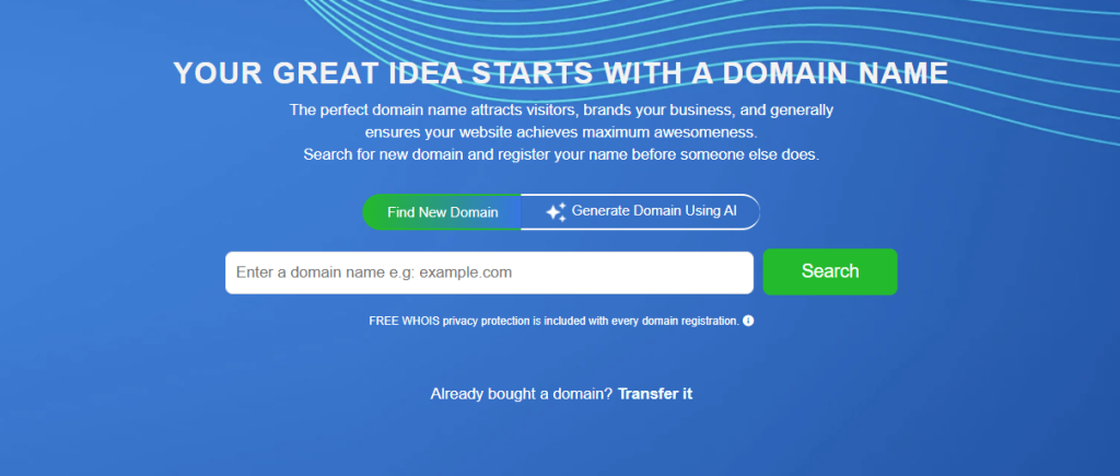 Domain Name Search