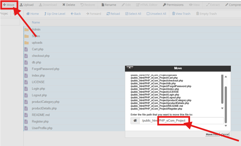 Move Website Files