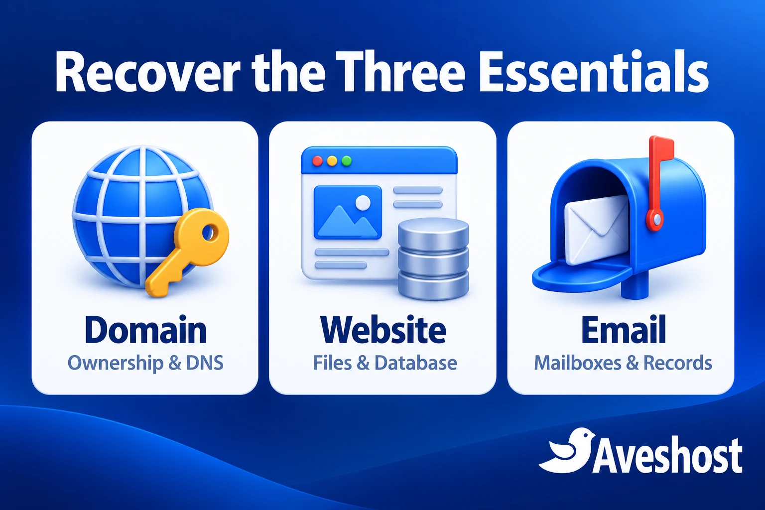 Recover your domain name, website and email: ownership and DNS, files and database, mailboxes and records